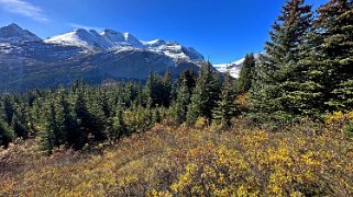 Mont Athabasca 3479 m - Wilcox Pass Trail - Parc National de Jasper Canada 2023